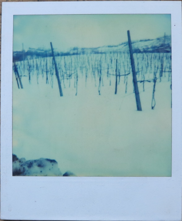 Dallo scatto all' opera: germano sartelli e la polaroid